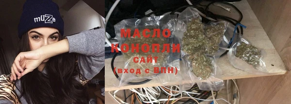 прущие грибы Аркадак
