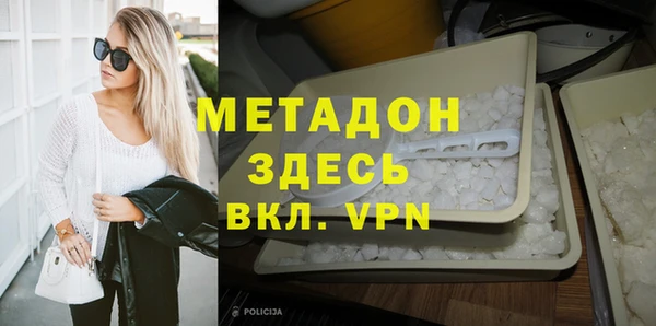 прущие грибы Аркадак