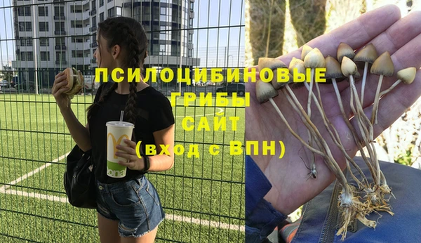 MESCALINE Арсеньев